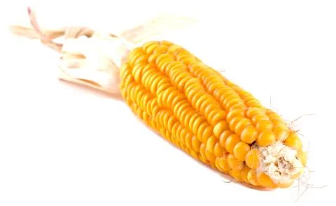 Corn isolated Stock Photos