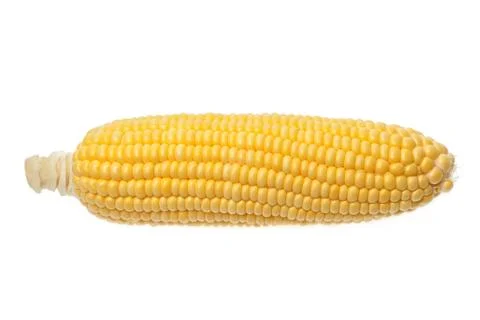 Corn isolated Stock Photos