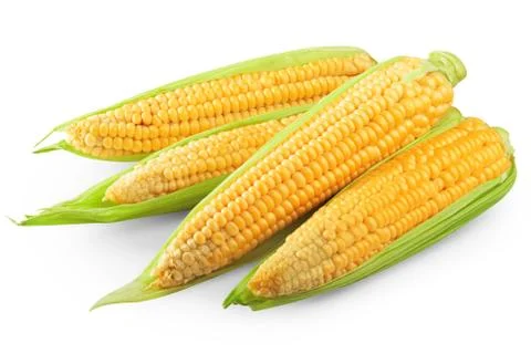 Corn isolated Stock Photos
