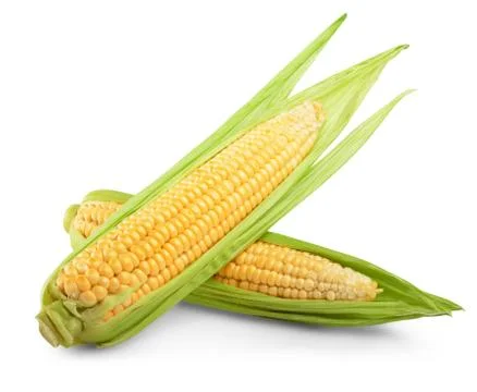 Corn isolated Foto stock