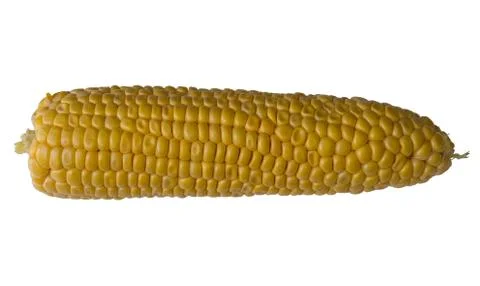 Corn isolated Stock Photos