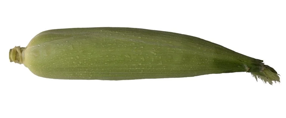 Corn isolated Stock Photos