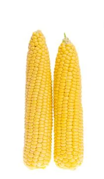 Corn isolated Stock Photos