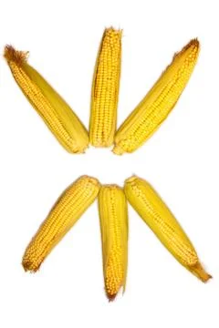 Corn isolated on white background. Collection of corn. Abstraction Stock-Fotos