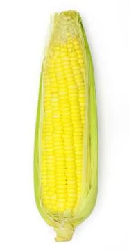 Corn isolated on white background Stock Photos
