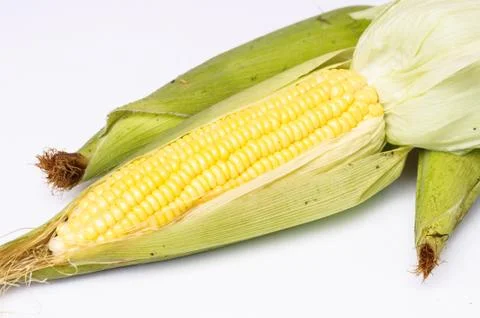 Corn isolated on a white background Stock Photos