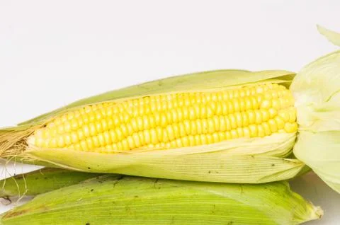 Corn isolated on a white background Stock Photos