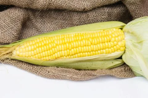 Corn isolated on a white background Stock Photos