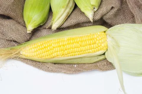 Corn isolated on a white background Stock Photos