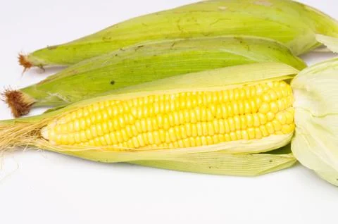 Corn isolated on a white background Stock Photos