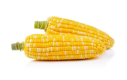 Corn isolated on a white background Stock Photos