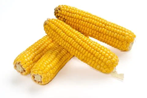 Corn isolated on white background Stock Photos