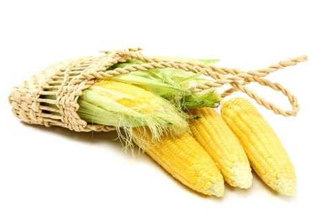 Corn isolated on a white background. Stock Photos