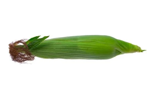 Corn isolated on white background Stock Photos