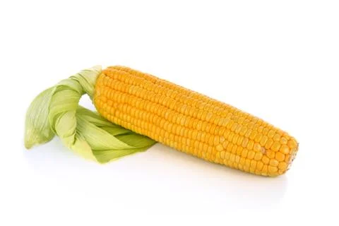 Corn isolated on a white background Stock Photos
