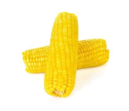 Corn isolated on a white background Stock Photos