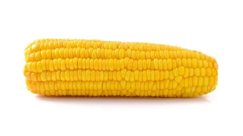 Corn isolated on a white background Stock Photos