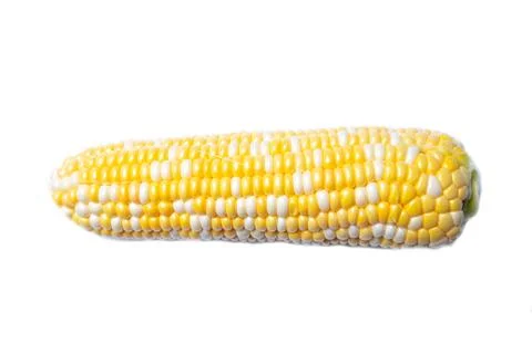Corn isolated on white background Stock Photos