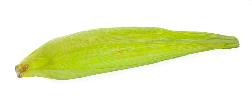 Corn an isolated on white background Foto stock