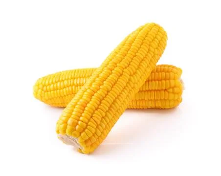 Corn isolated on white background Stock Photos
