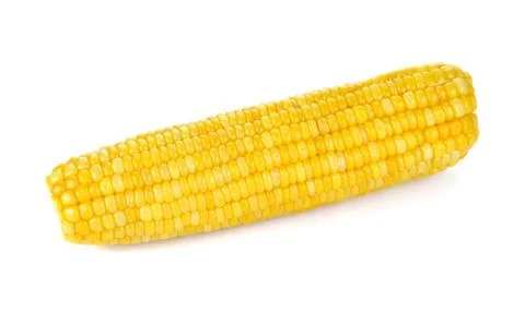 Corn isolated on white background Stock Photos