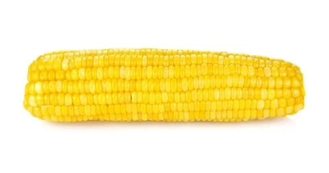 Corn isolated on white background Stock Photos