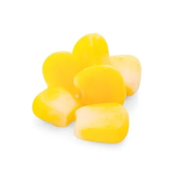 Corn isolated on white background Stock Photos