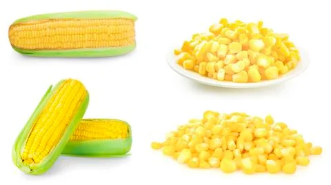Corn isolated on white background Stock Photos