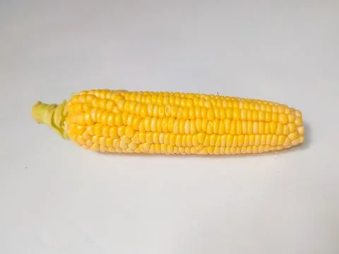 Corn isolated on white background Stock Photos