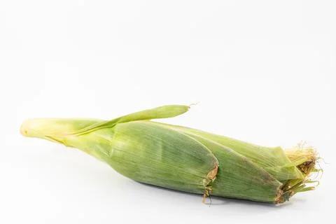 A corn isolated on white background Foto stock