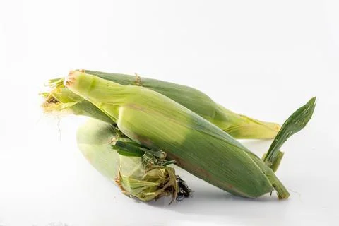 A corn isolated on white background Stock Photos