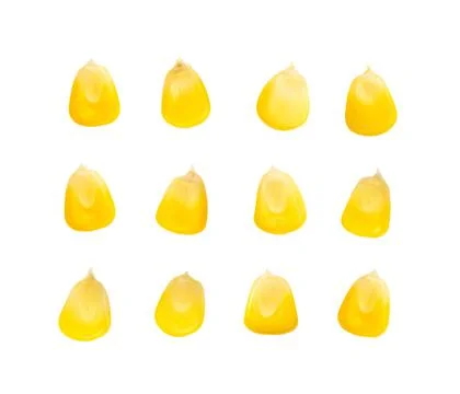 Corn isolated on white background Stock Photos