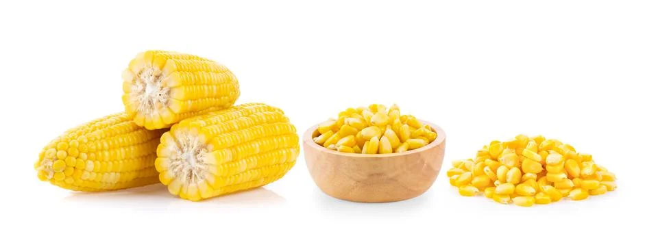Corn isolated on white background Stock Photos