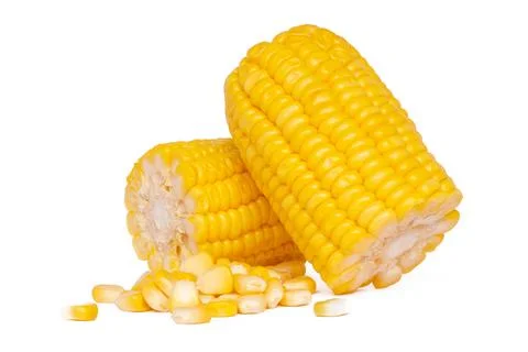 Corn isolated on white background Stock Photos