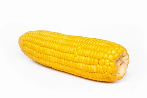 Corn isolated on white background 스톡 사진