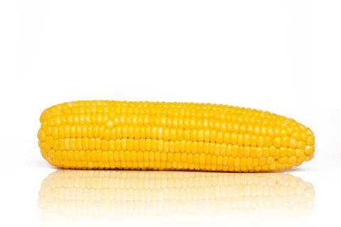 Corn isolated on white background 스톡 사진