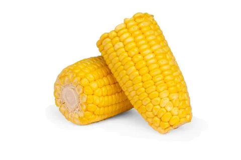 Corn isolated on white background 스톡 사진