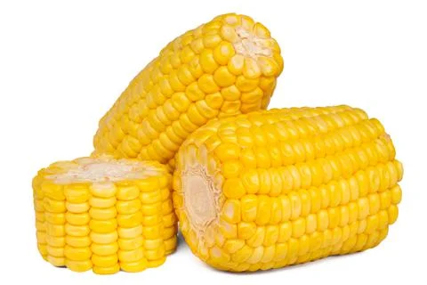 Corn isolated on white background Stock Photos