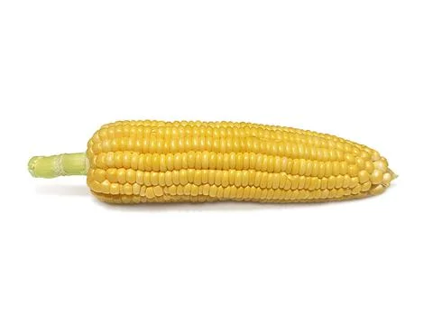 Corn isolated on white background Stock Photos