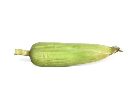 Corn isolated on white background Stock Photos
