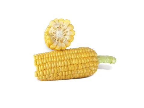 Corn isolated on white background Stock Photos