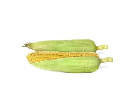 Corn isolated on white background Stock Photos