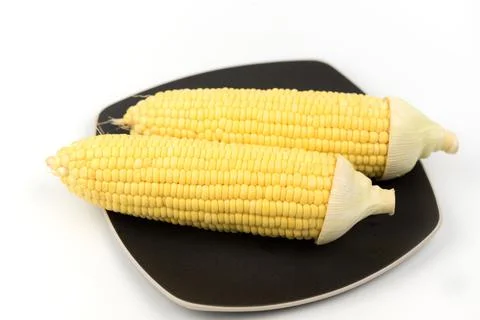 Corn isolated on a white background Stock Photos