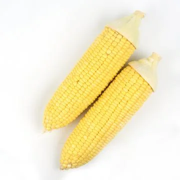 Corn isolated on a white background Stock Photos