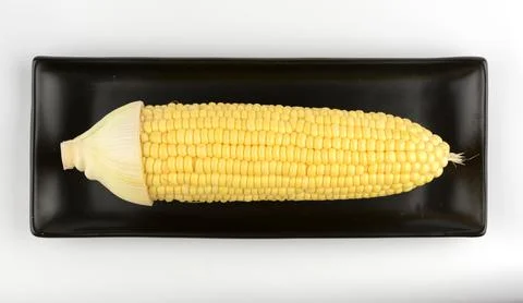 Corn isolated on a white background Stock Photos