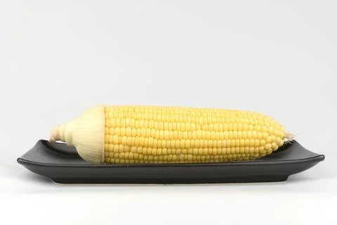 Corn isolated on a white background Stock Photos