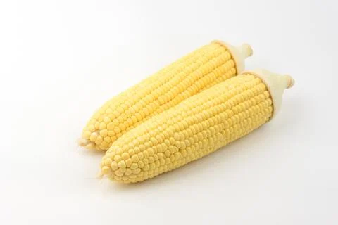 Corn isolated on a white background Stock Photos