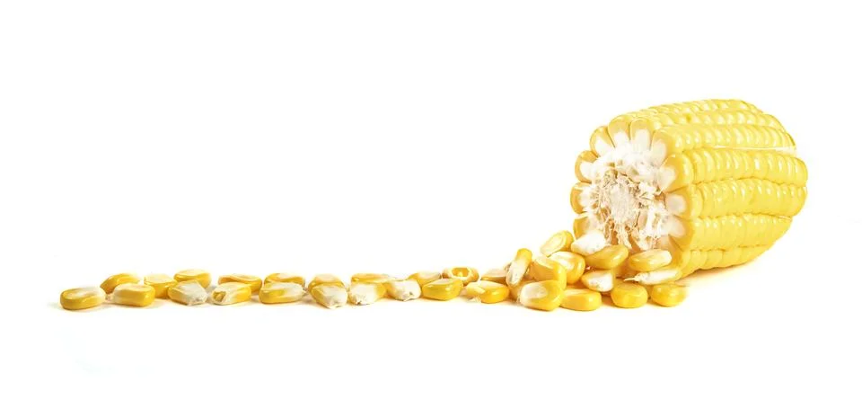 Corn isolated on white background 库存照片