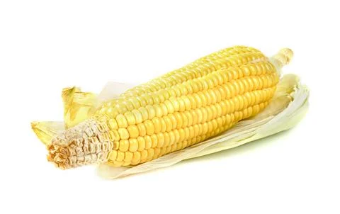 Corn isolated on white background 库存照片