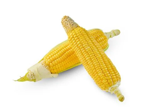 Corn isolated on white background 库存照片
